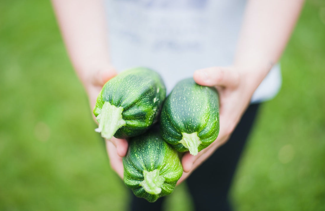 Use Of Neem Oil – Zucchini