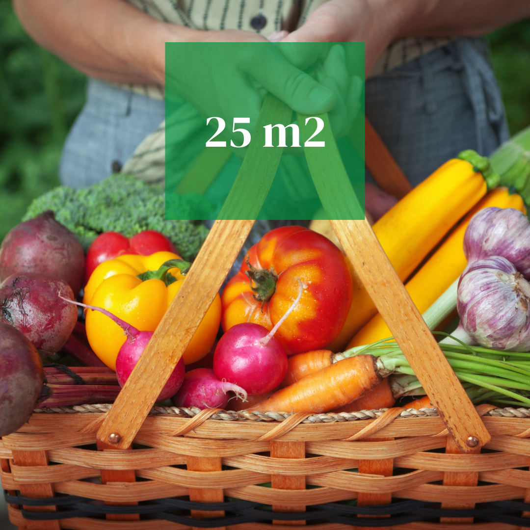 PACKAGE 3: Abundant Garden (up to 25 m²) 🌿 🌿 🌿