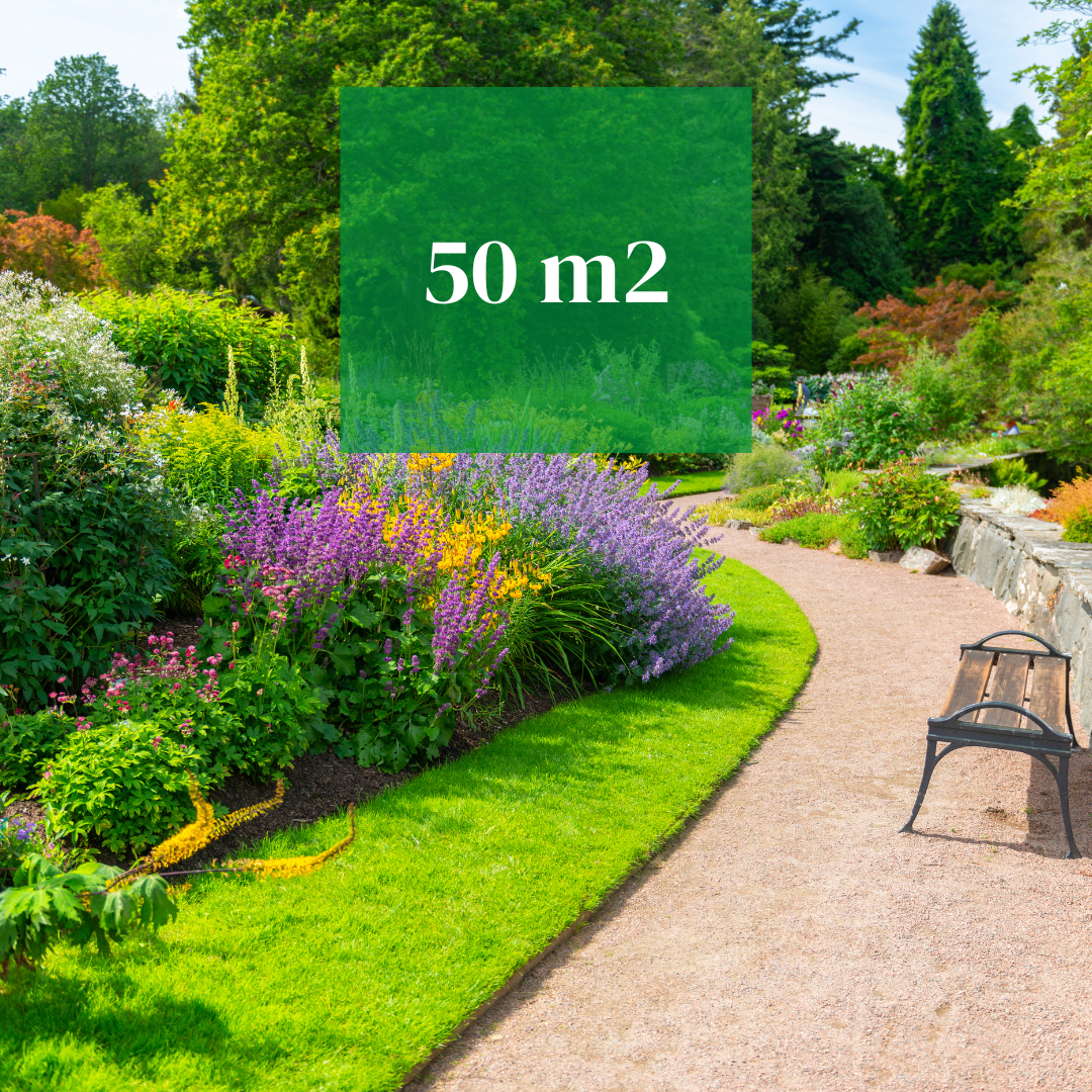 Package 4: Green Paradise (up to 50 m²)🌿🌿🌿🌿